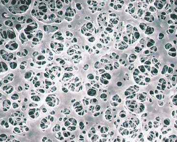 醋酸纖維素 醋酸纖維素